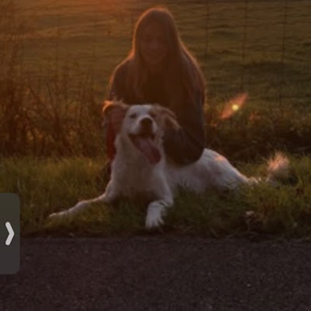 Meet your Posher, Alice